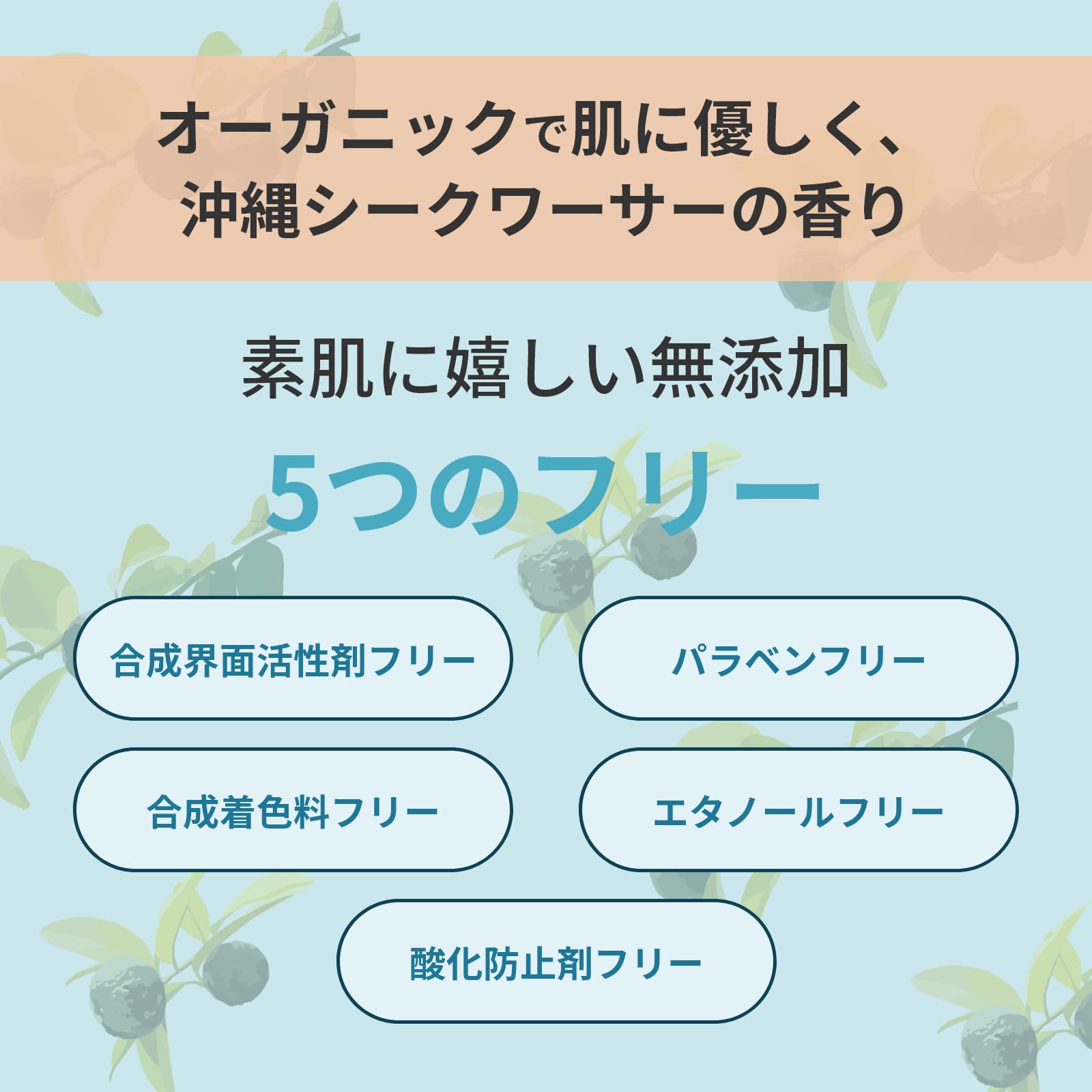Regression 日本製 クチャ クレイ マスク [ 120g.スパチュラ付き] 沖縄 オーガニック コスメ (泥パック/フェイスパック/フェイスマスク) 毛穴汚れ スキンケア フコイダン