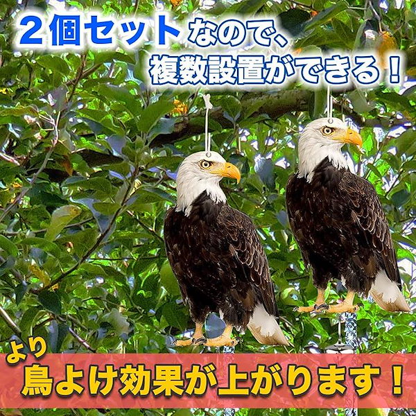 Qoo10] 防鳥 鳥よけ リアル 鷹 鷲 鳶 鳥避け