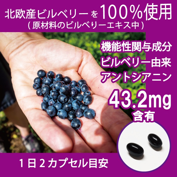 めにサプリ ビルベリー +M 3袋 90日分 (1日2カプセル×90日分) 機能性表示食品 めにサプリ ビルベリー +M 3袋 90日分 (1日2カプセル×90日分) 機能性表示食品