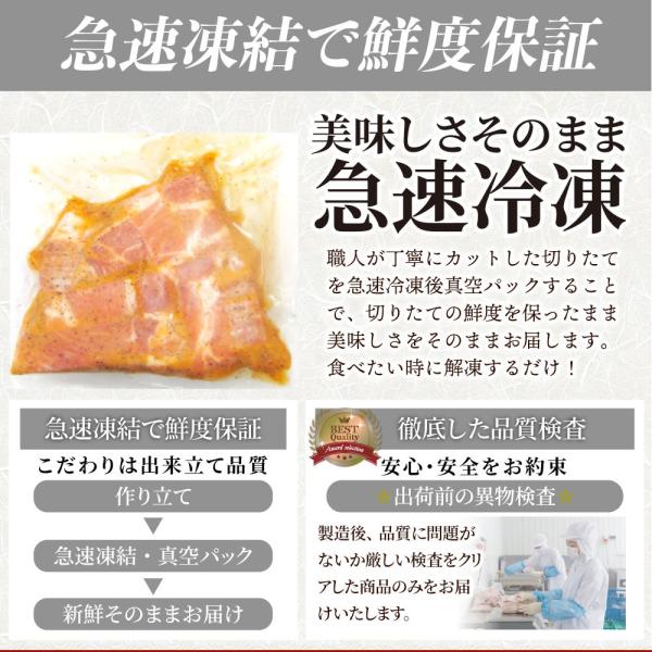 トンテキ 肉 ステーキ 鬼スパイシーひとくちガーリックトンテキ 10kg（250g×40P）贅沢 おトク お徳用 通販 グルメ
