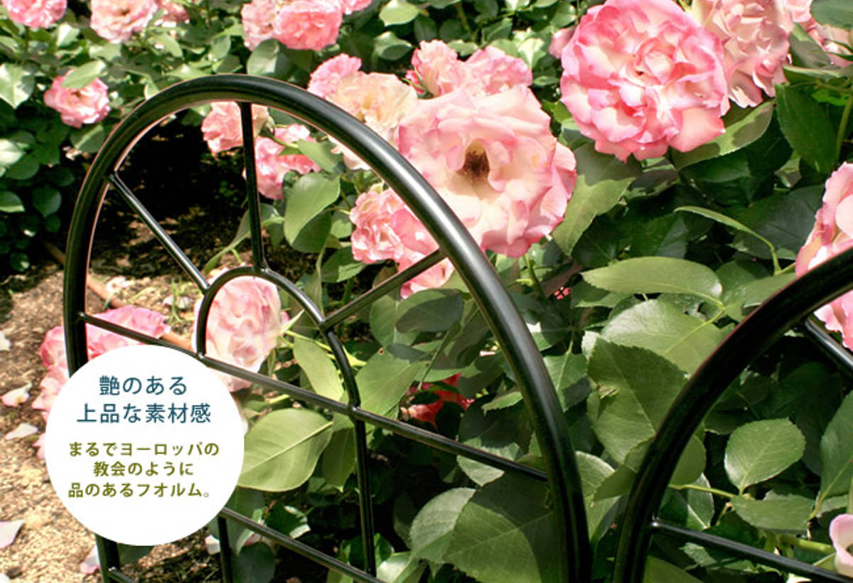 フェンス アイアンフェンス ハイタイプ 高さ221cm 2枚組 ガーデンフェンス インテリア ガーデニング雑貨 アンティーク おしゃれ ガーデニング アイアン 鉄 ディスプレイ オブジェ 置物