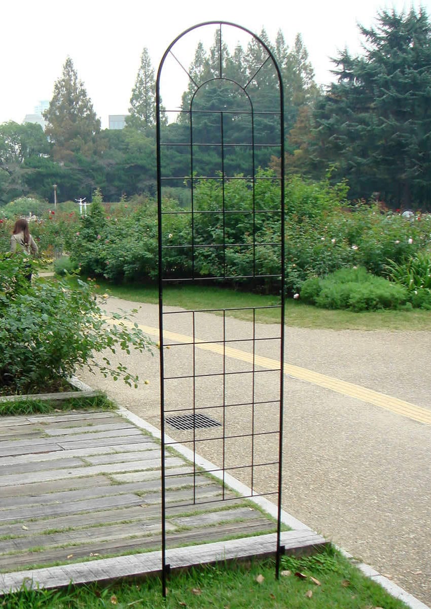 フェンス アイアンフェンス ハイタイプ 高さ221cm 2枚組 ガーデンフェンス インテリア ガーデニング雑貨 アンティーク おしゃれ ガーデニング アイアン 鉄 ディスプレイ オブジェ 置物