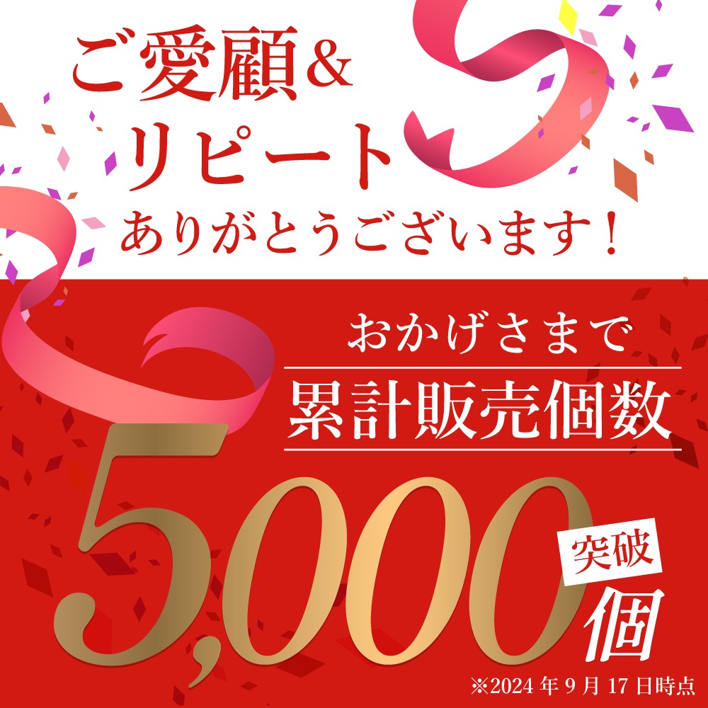 [超目玉商品！3日間発送 ]犬 ベッド 洗える 大型犬 スクエア 冬用 夏用 ペットベッド 犬ベッド 犬用ベッド 猫 ペット クッション ベット 犬ベッド 猫 ベッド XLサイズ ペットハウス