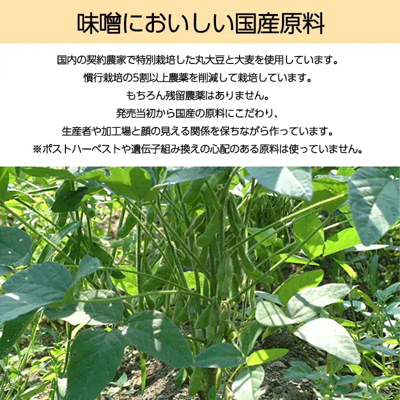 海の精 麦味噌 国産特栽 1kg 6袋セット 生タイプ 味噌汁 調味料 大豆 大麦 国産 海の精 麦味噌 国産特栽 1kg 6袋セット 生タイプ 味噌汁 調味料 大豆 大麦 国産