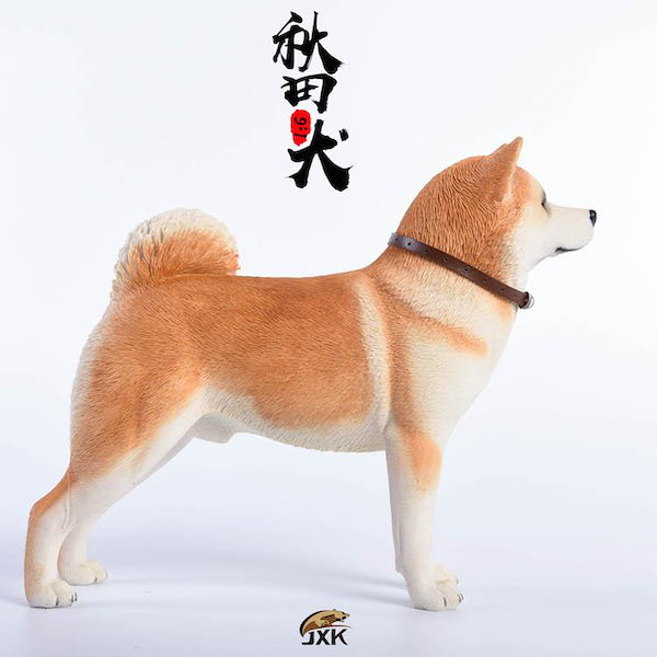 秋田犬が写真集に！ 11/24発売イベント（東京・豊洲）に