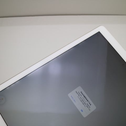 美品 iPad Pro 第2世代 12.9インチ Wi-Fi 64GB ゴールド 70