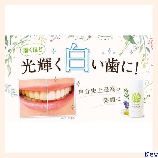 【送料無料】 歯磨き粉 : 日用品雑貨 コハルト 30g 人気が高