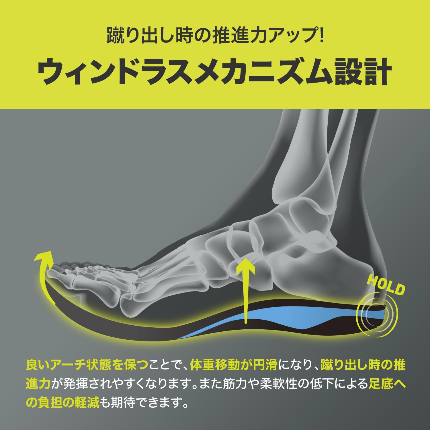 ザムスト(ZAMST) インソール(中敷き) フットクラフト シリーズ L(25.0cm~26.5cm) 衝撃吸収 スタンダードタイプ アーチタイプ(MIDDLE) 男女兼用 ザムスト(ZAMST) インソール(中敷き) フットクラフト シリーズ L(25.0cm~26.5cm) 衝撃吸収 スタンダードタイプ アーチタイプ(MIDDLE) 男女兼用