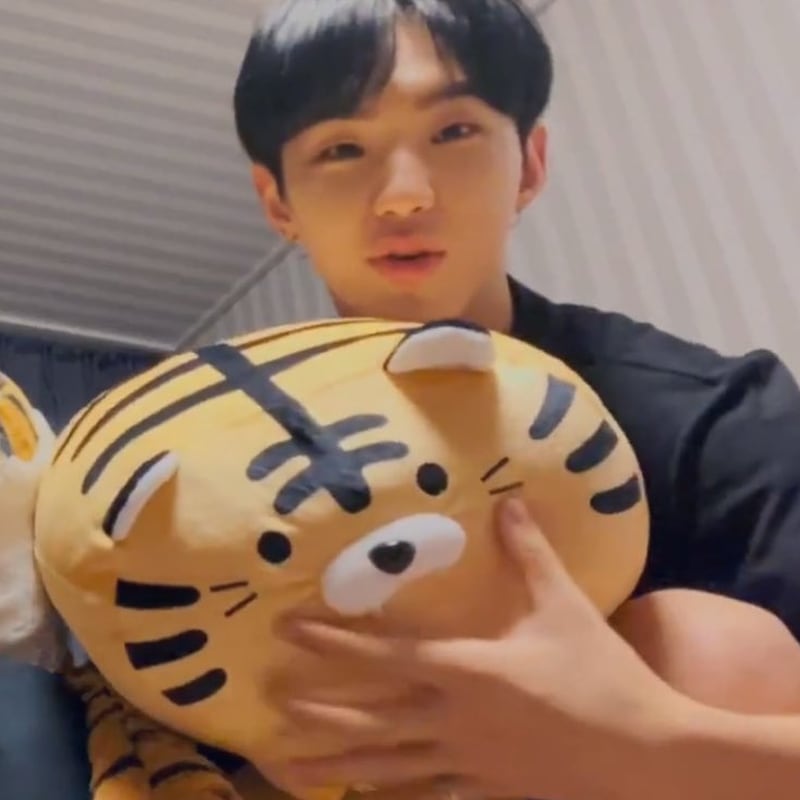 40cm seventeen ホシ HOSHIぬいぐるみ本体 Qoo10] [Seventeen ホシ 使用] mo