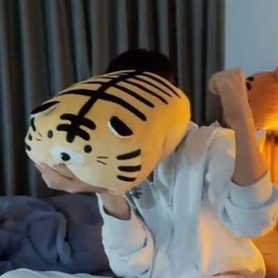 seventeen ホシ　ぬいぐるみ8体セット Qoo10] [Seventeen ホシ 使用] mo : おもちゃ・知育