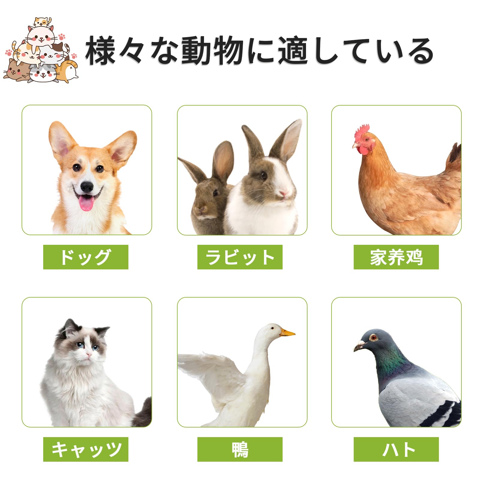 Areden 犬のケージ 犬 サークル ペットサークル 屋根付き ペットケージ 組立簡単 掃除簡単 犬用 小型犬用 脱出防止 室内外兼用 ペット用品 (ホワイト, 84x61x58cm)