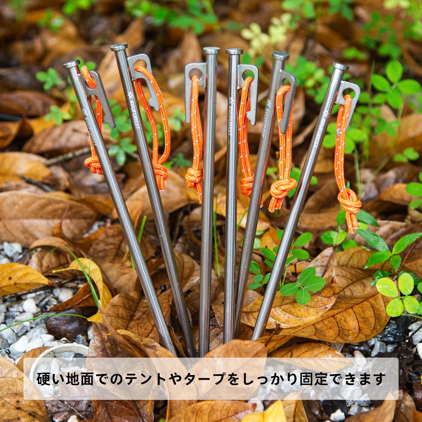 ペグ チタン製 AVOFOREST チタンペグ 太いヘッド 20cm 25cm 30cm 2本/6本/8本/16本 軽量 高強度 反射材入りロープ付き耐食性 キャンプ テント/タープ設営用 山地 砂利