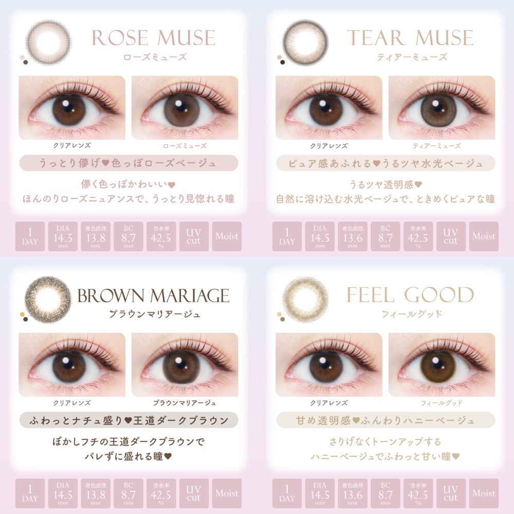 2箱セット エバーカラーワンデー ナチュラル／モイストレーベルUV 1箱20枚