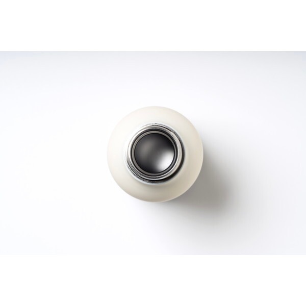 SBV44DI グリーン ダイナソー(恐竜) BESTIE(べスティ) キャラクター ボトル (460ml) SBV44DI グリーン ダイナソー(恐竜) BESTIE(べスティ) キャラクター ボトル (460ml)