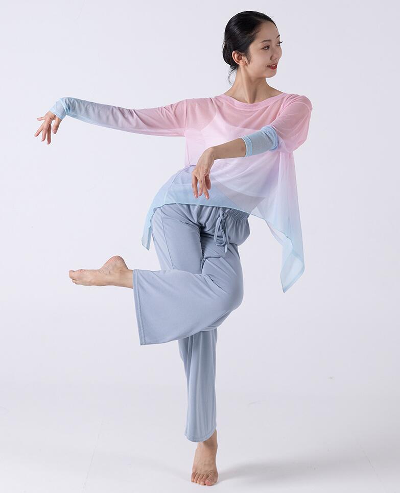 古典ダンスウェア 透け感長袖ブラウス 中華古典舞踊 グラデーション ワイドパンツ レディースダンスウェア ダンスパンツ ダンス練習着 団服 レッスン着 古典ダンス バレエダンス 社交ダンス モダ 古典ダンスウェア 透け感長袖ブラウス 中華古典舞踊 グラデーション ワイドパンツ レディースダンスウェア ダンスパンツ ダンス練習着 団服 レッスン着 古典ダンス バレエダンス 社交ダンス モダ
