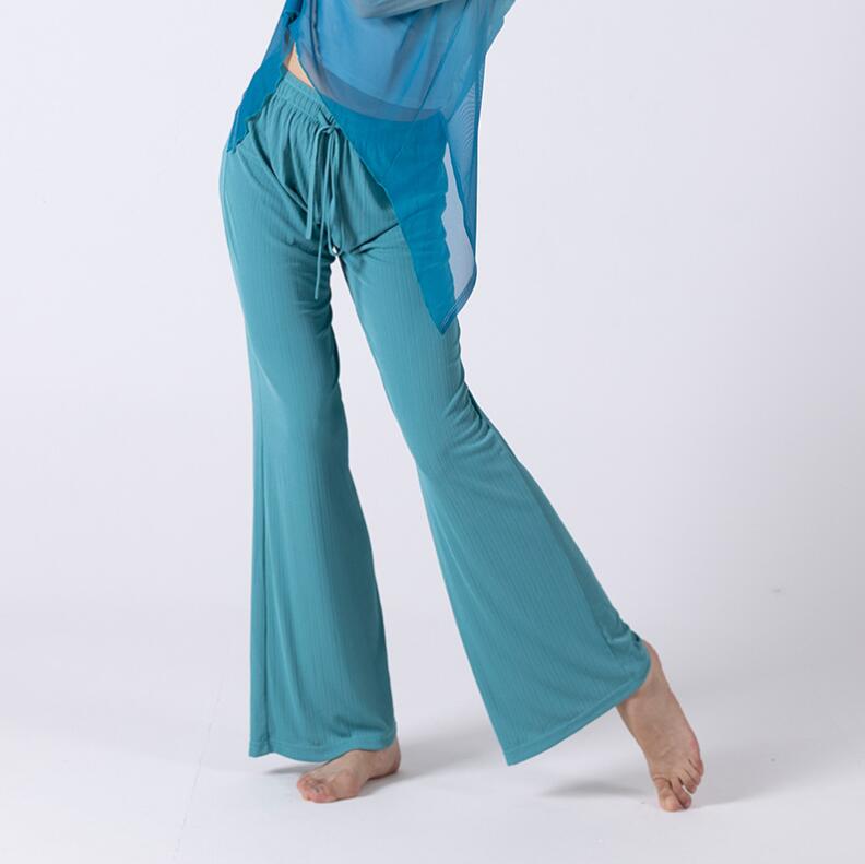 古典ダンスウェア 透け感長袖ブラウス 中華古典舞踊 グラデーション ワイドパンツ レディースダンスウェア ダンスパンツ ダンス練習着 団服 レッスン着 古典ダンス バレエダンス 社交ダンス モダ 古典ダンスウェア 透け感長袖ブラウス 中華古典舞踊 グラデーション ワイドパンツ レディースダンスウェア ダンスパンツ ダンス練習着 団服 レッスン着 古典ダンス バレエダンス 社交ダンス モダ