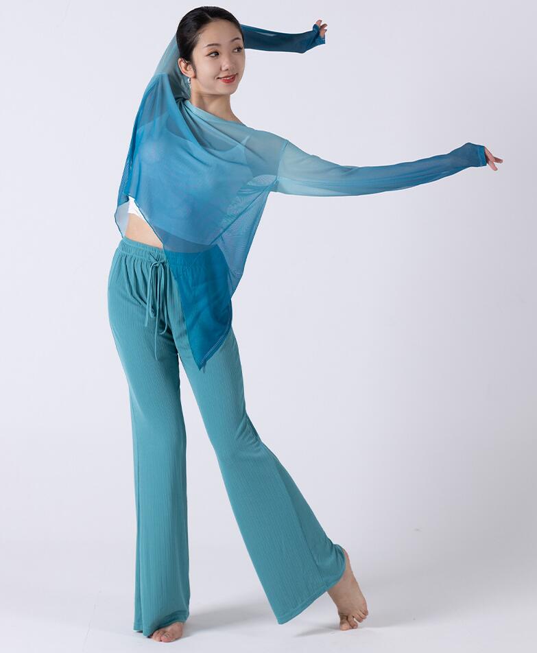 古典ダンスウェア 透け感長袖ブラウス 中華古典舞踊 グラデーション ワイドパンツ レディースダンスウェア ダンスパンツ ダンス練習着 団服 レッスン着 古典ダンス バレエダンス 社交ダンス モダ 古典ダンスウェア 透け感長袖ブラウス 中華古典舞踊 グラデーション ワイドパンツ レディースダンスウェア ダンスパンツ ダンス練習着 団服 レッスン着 古典ダンス バレエダンス 社交ダンス モダ