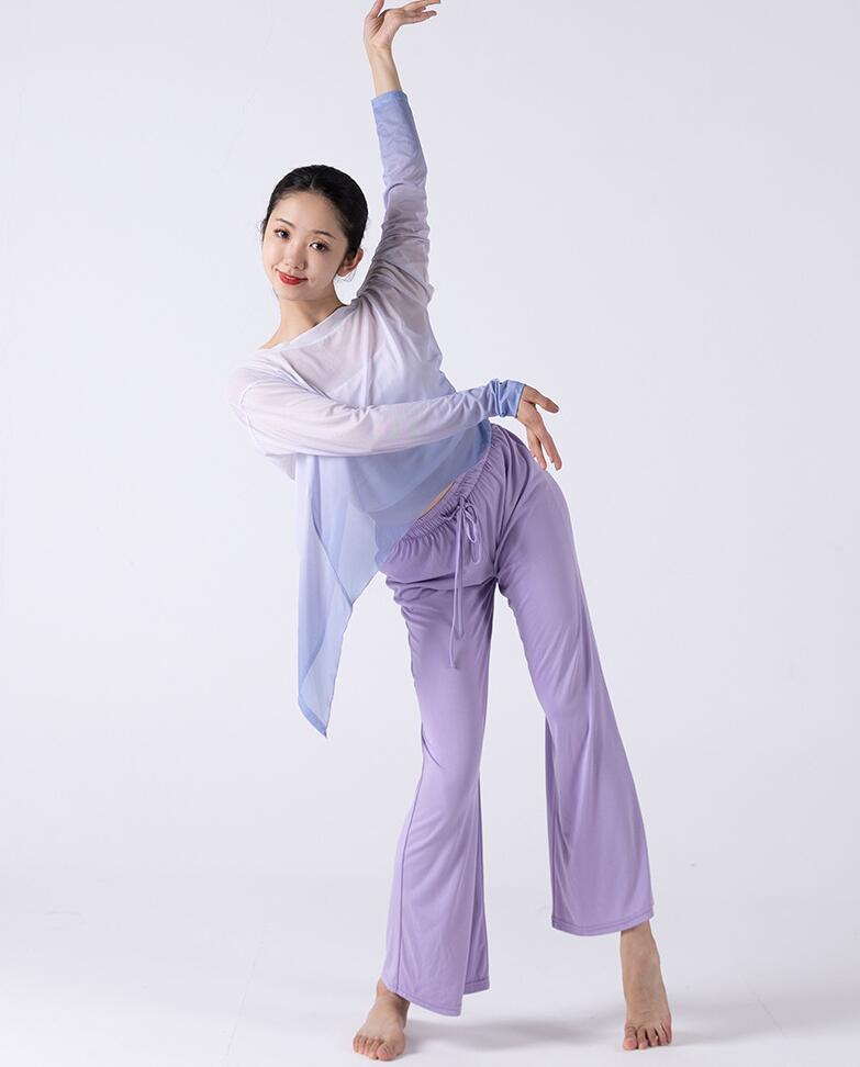 古典ダンスウェア 透け感長袖ブラウス 中華古典舞踊 グラデーション ワイドパンツ レディースダンスウェア ダンスパンツ ダンス練習着 団服 レッスン着 古典ダンス バレエダンス 社交ダンス モダ 古典ダンスウェア 透け感長袖ブラウス 中華古典舞踊 グラデーション ワイドパンツ レディースダンスウェア ダンスパンツ ダンス練習着 団服 レッスン着 古典ダンス バレエダンス 社交ダンス モダ