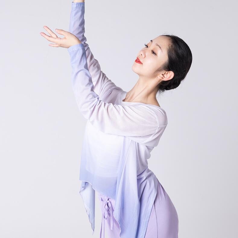 古典ダンスウェア 透け感長袖ブラウス 中華古典舞踊 グラデーション ワイドパンツ レディースダンスウェア ダンスパンツ ダンス練習着 団服 レッスン着 古典ダンス バレエダンス 社交ダンス モダ 古典ダンスウェア 透け感長袖ブラウス 中華古典舞踊 グラデーション ワイドパンツ レディースダンスウェア ダンスパンツ ダンス練習着 団服 レッスン着 古典ダンス バレエダンス 社交ダンス モダ