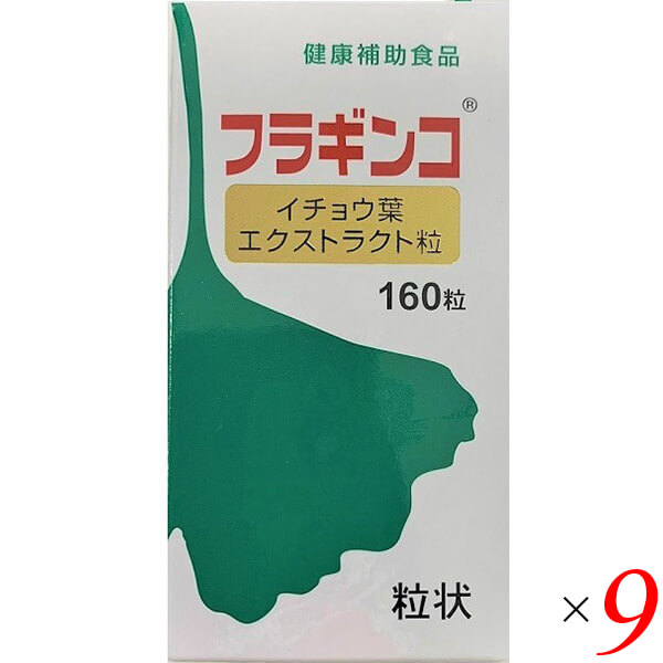 甲陽ケミカル フラギンコ イチョウ葉 エクストラクト粒 40g 9個セット