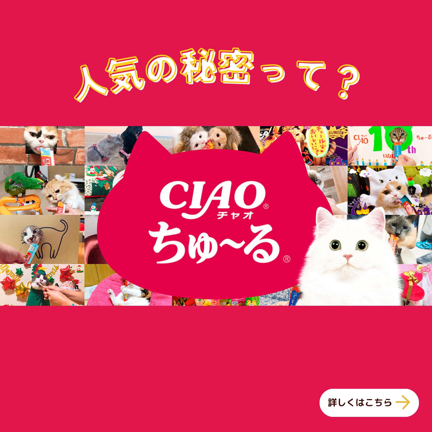 チャオ (CIAO) ちゅ~る 下部尿路・腎臓の健康維持に配慮バラエティ 80本