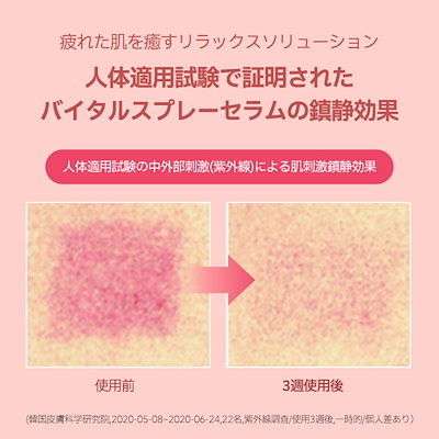 Qoo10] ダルバ 【ギフト名家】【みんなが喜ぶベストセラー : キット