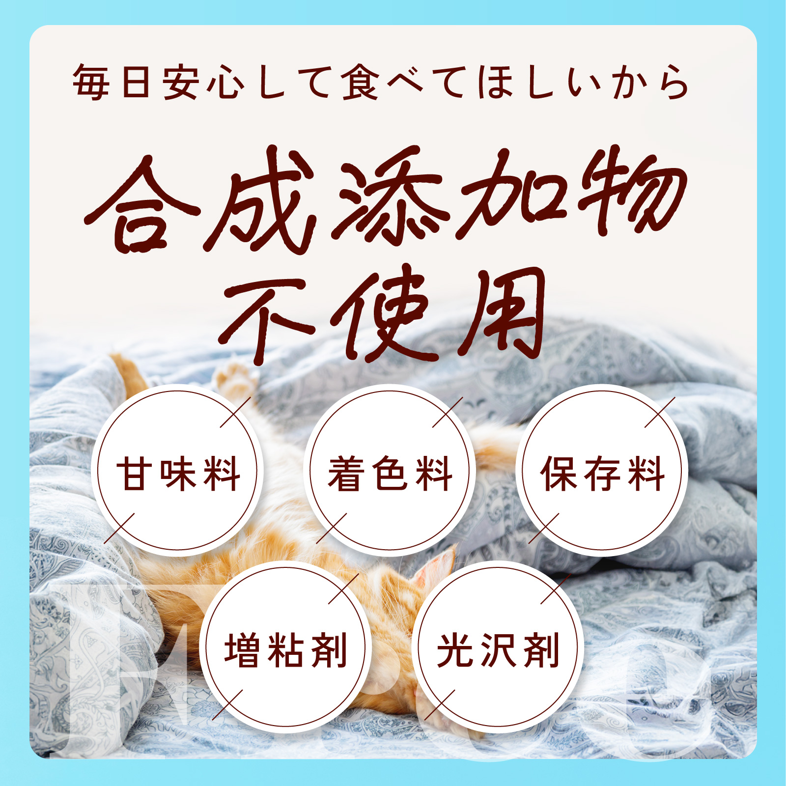 Qoo10] さくらの森 NEKOMATANOMI ねこまたの実
