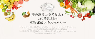 Qoo10] コタラヒム310α (60包) 体内酵 : 健康食品・サプリ