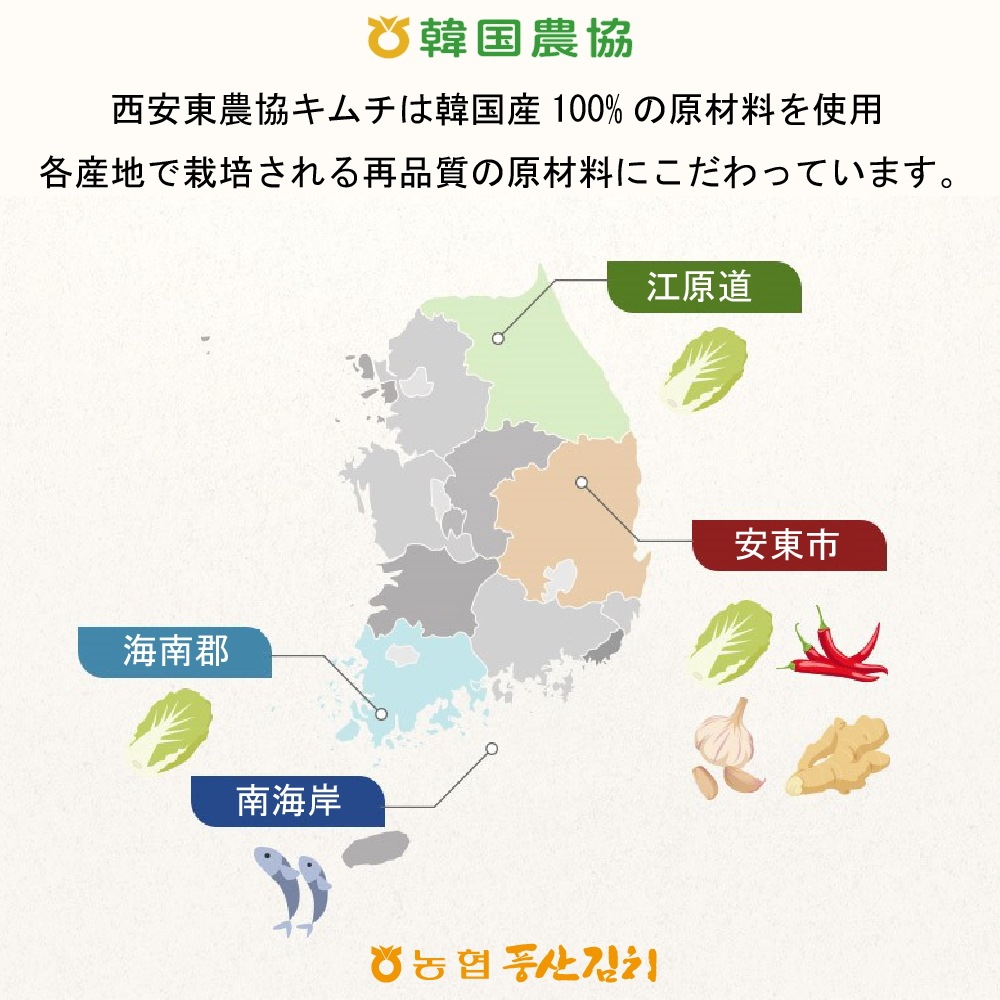 西安東農協 チョンガクキムチ1kg*5袋 西安東農協 チョンガクキムチ1kg*5袋