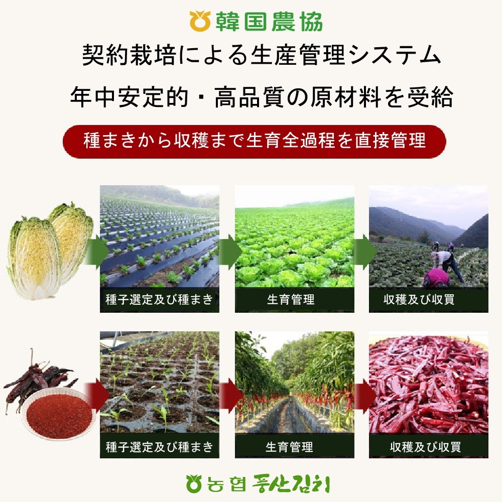 西安東農協 チョンガクキムチ1kg*5袋 西安東農協 チョンガクキムチ1kg*5袋