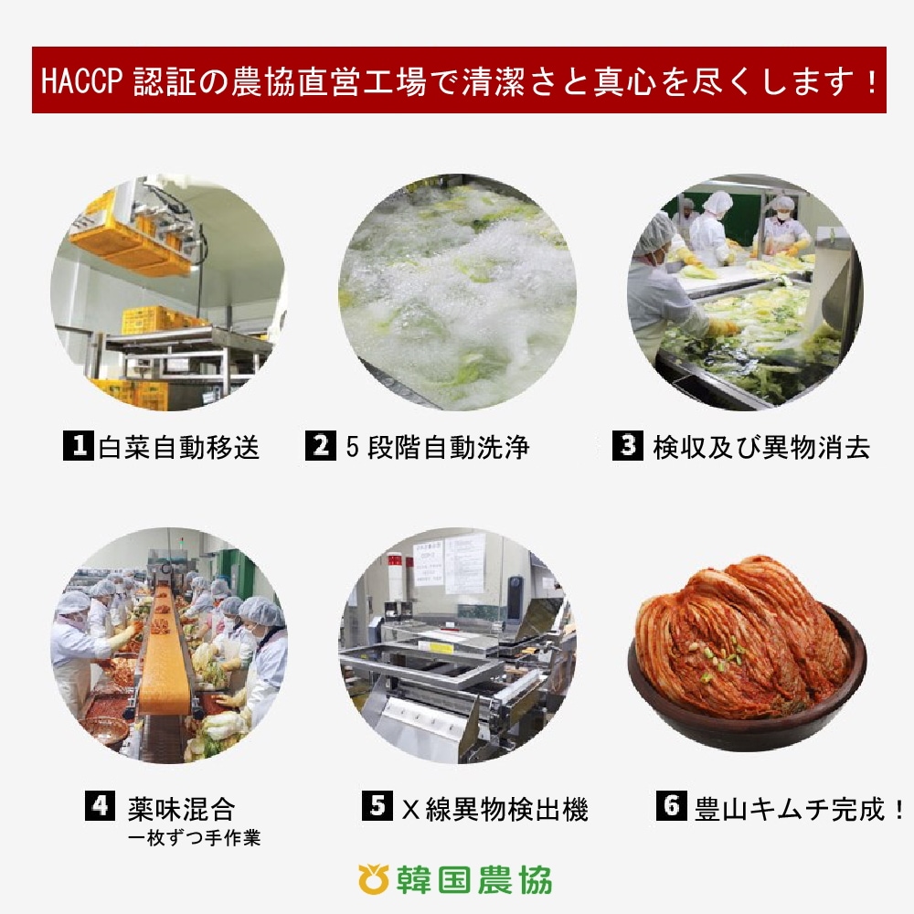 西安東農協 チョンガクキムチ1kg*5袋 西安東農協 チョンガクキムチ1kg*5袋