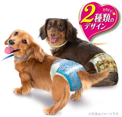 安い新品 マナーウェア 犬用 おむつ 女の子用 S ペット 特価最安値