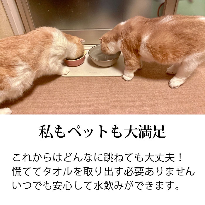 ペット専用 珪藻土 マット スモール 犬 ネコ 水飲み 吸水 トレイ 北海道稚内珪藻土 水切り トレー アスベストなし おしゃれ 小型 中型 猫 いぬ グッズ 給水器 ウォーター スタンド 水