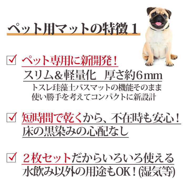 ペット専用 珪藻土 マット スモール 犬 ネコ 水飲み 吸水 トレイ 北海道稚内珪藻土 水切り トレー アスベストなし おしゃれ 小型 中型 猫 いぬ グッズ 給水器 ウォーター スタンド 水