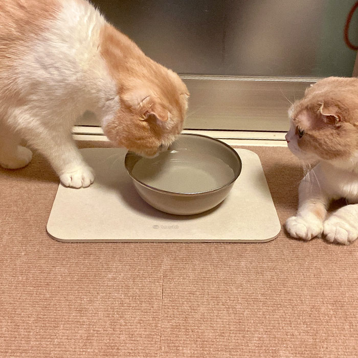 ペット専用 珪藻土 マット スモール 犬 ネコ 水飲み 吸水 トレイ 北海道稚内珪藻土 水切り トレー アスベストなし おしゃれ 小型 中型 猫 いぬ グッズ 給水器 ウォーター スタンド 水