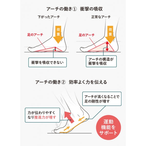 AKAISHI アカイシ 156 ファイテンフットリリース リカバリーシューズ AF156019BL AKAISHI アカイシ 156 ファイテンフットリリース リカバリーシューズ AF156019BL