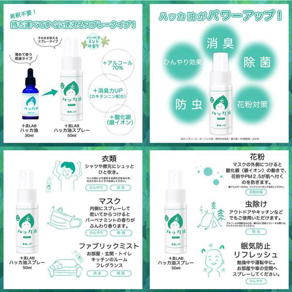 Qoo10] 十美LAB ハッカ油スプレー 希釈タイプ