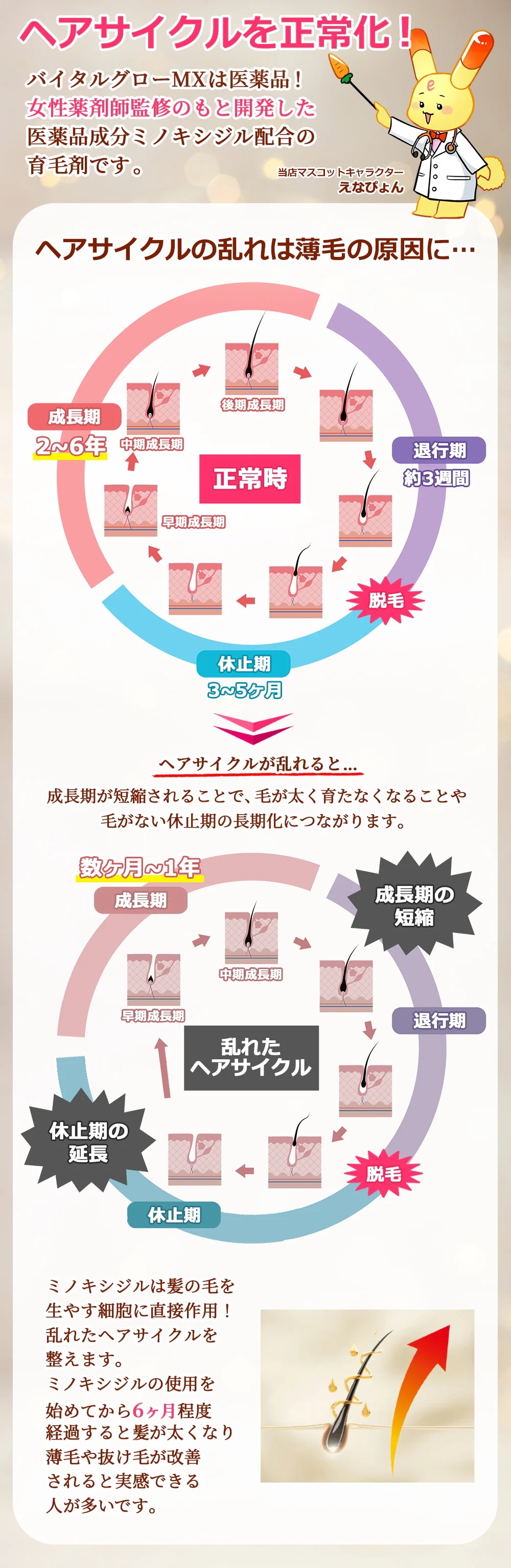 【第1類医薬品】【即発送】 バイタルグロー MX 60ml×3個セット+今だけ【 S・HEART・S 】 エスハートエス スカルプブラシ レギュラータイプ がついてくる！ ミノキシジル 薄毛 発毛_10