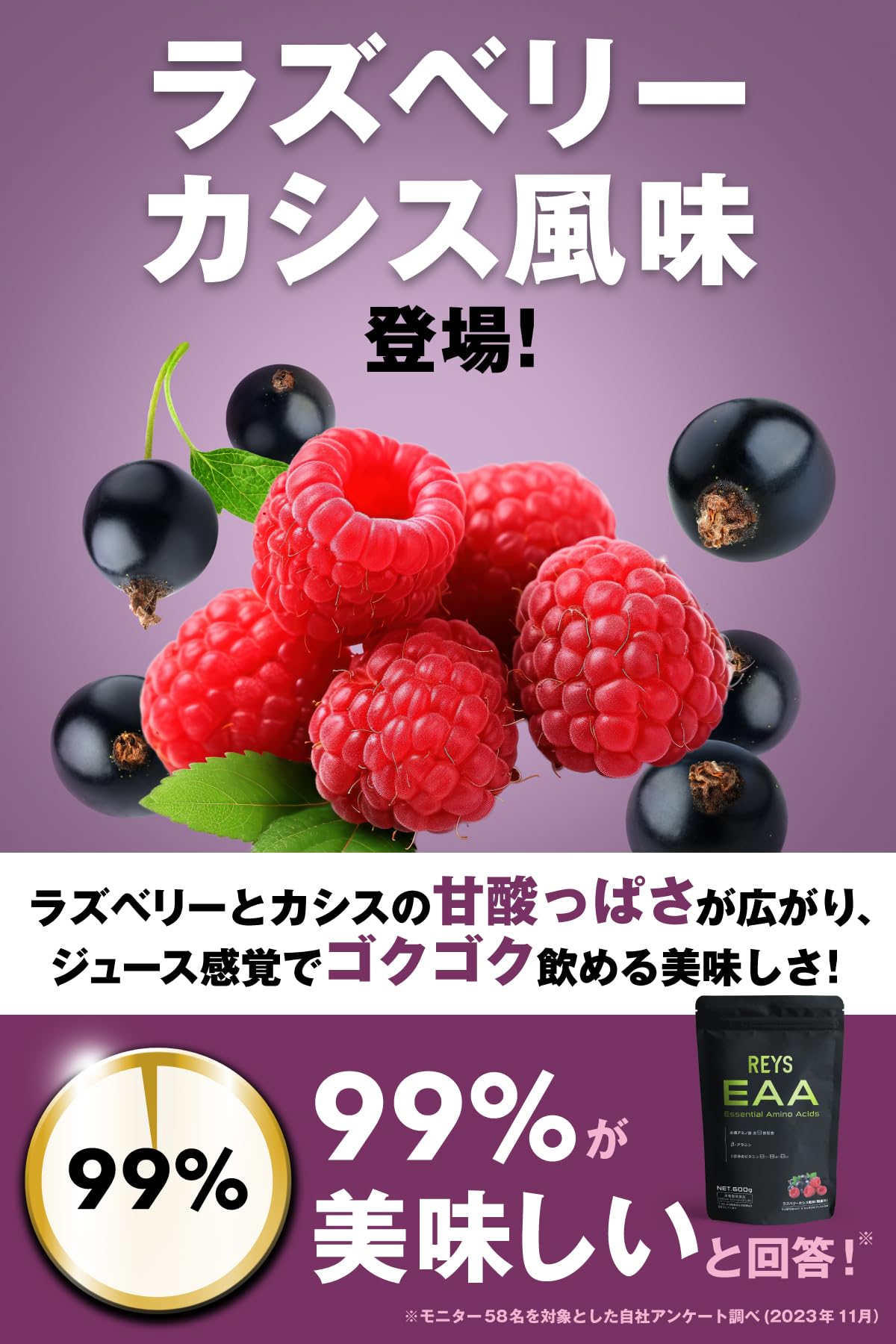REYS レイズ EAA 山澤礼明 監修 必須アミノ酸 9種配合 600g 栄養機能食品 ベータアラニン 1日分のビタミンB群3種配合 国産 (ラズベリーカシス風味)