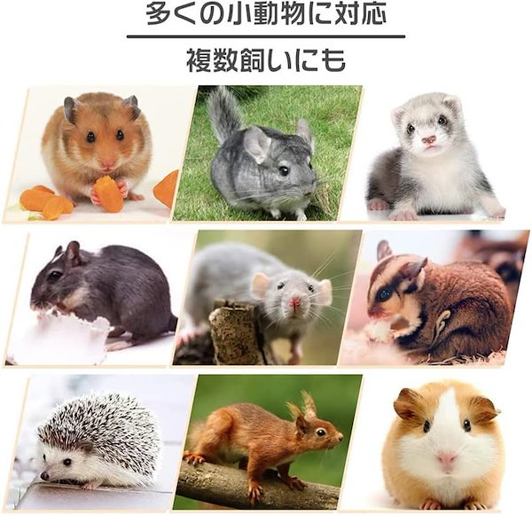 Qoo10] 小動物用品ケージモモンガ フェレット 大