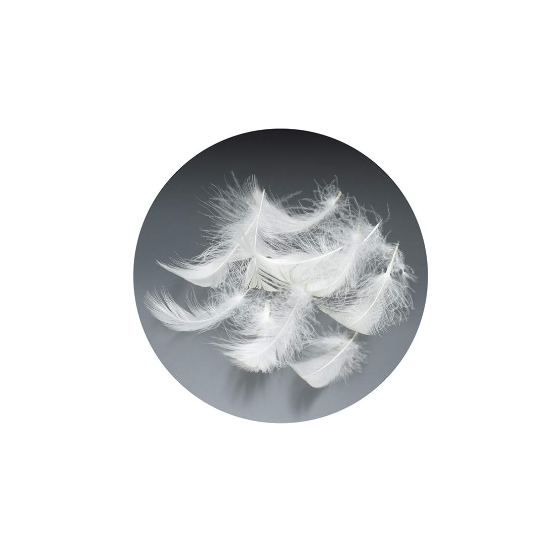 羽根枕 「フェザーピロー」 高感触フェザー使用 高い吸湿発散性 側地:綿100% 50×70cm キナリ 【フランスベッド正規品】 羽根枕 「フェザーピロー」 高感触フェザー使用 高い吸湿発散性 側地:綿100% 50×70cm キナリ 【フランスベッド正規品】