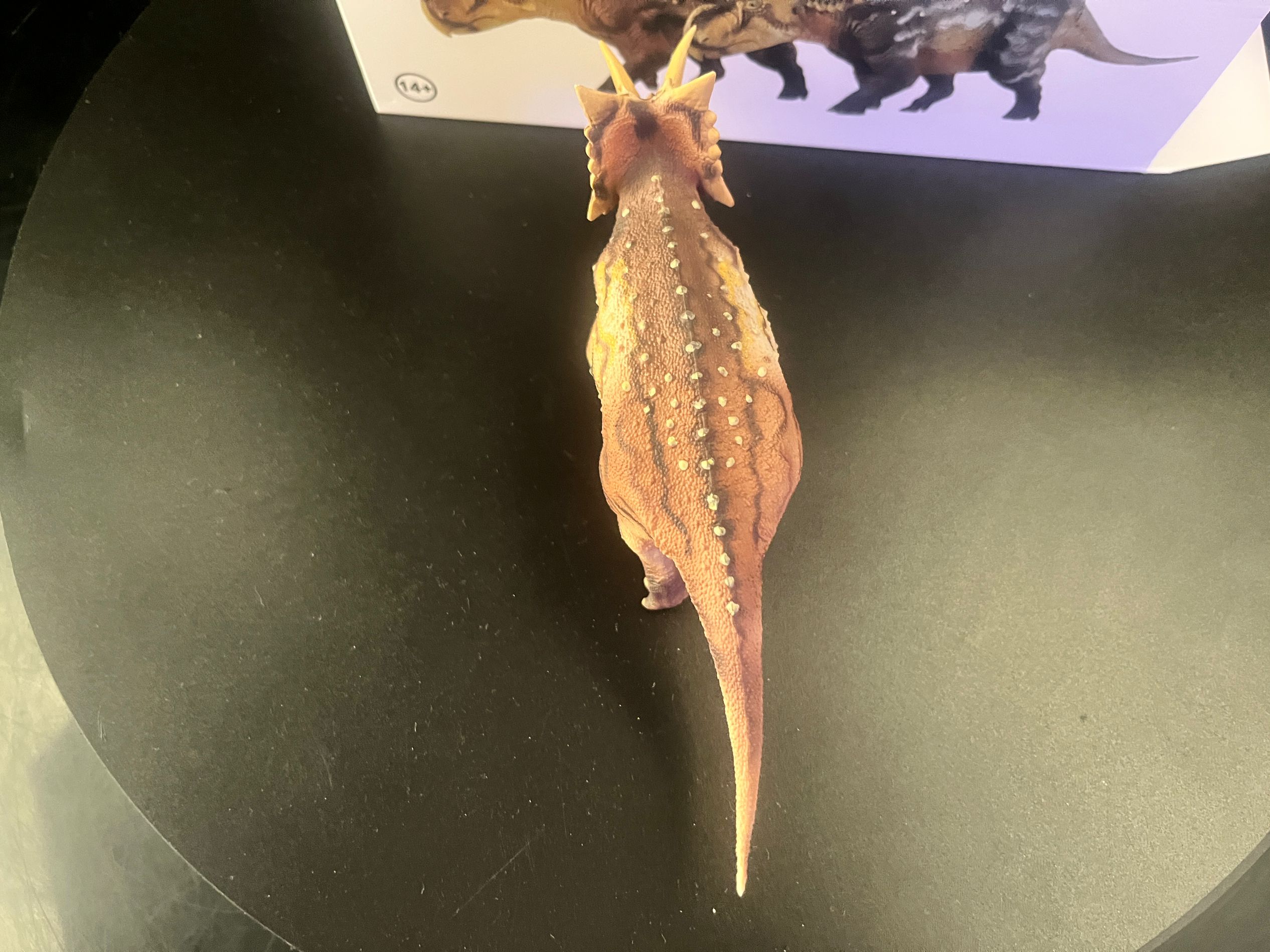 確認専用URL 確認専用URL