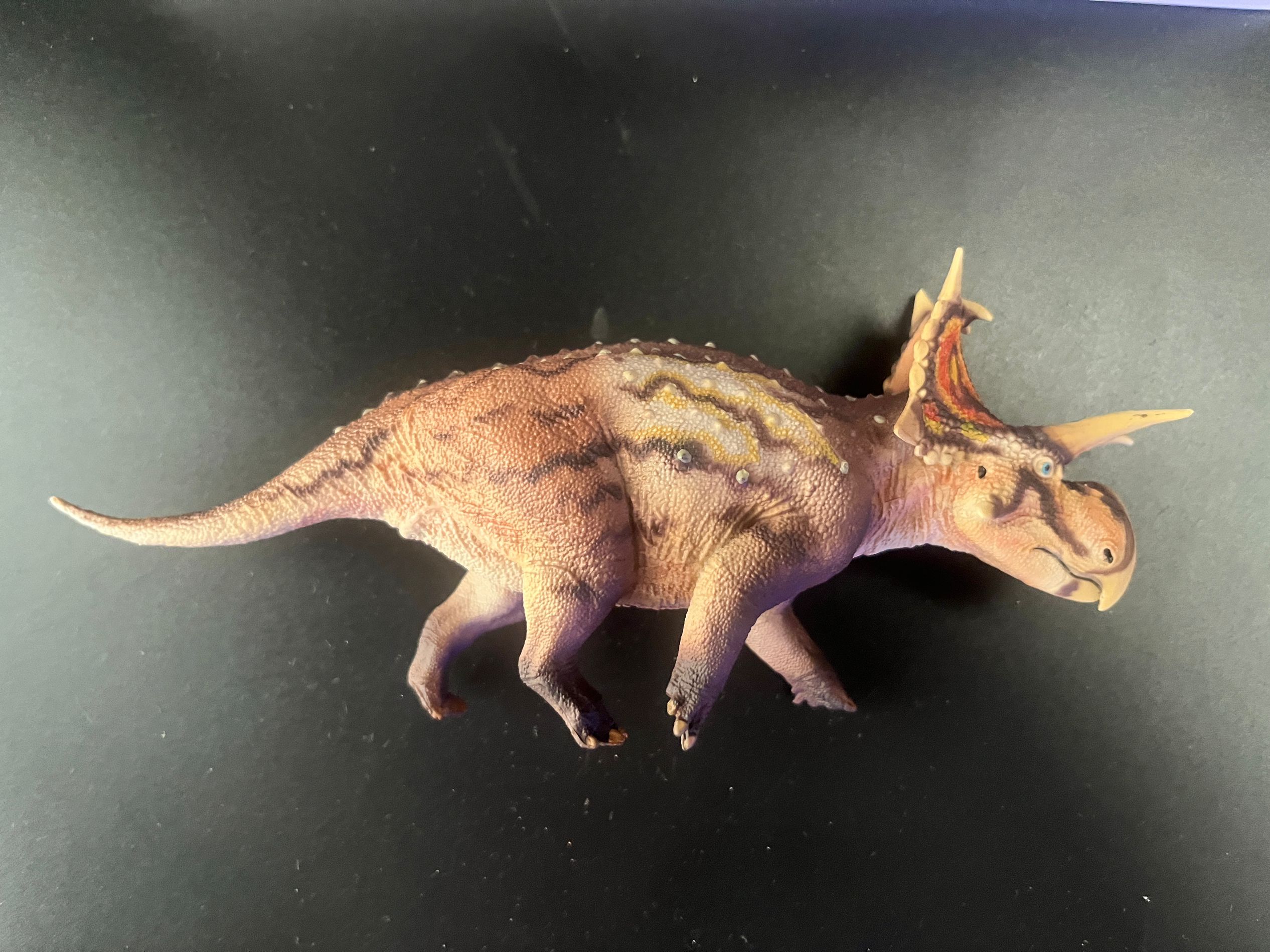 確認専用URL 確認専用URL