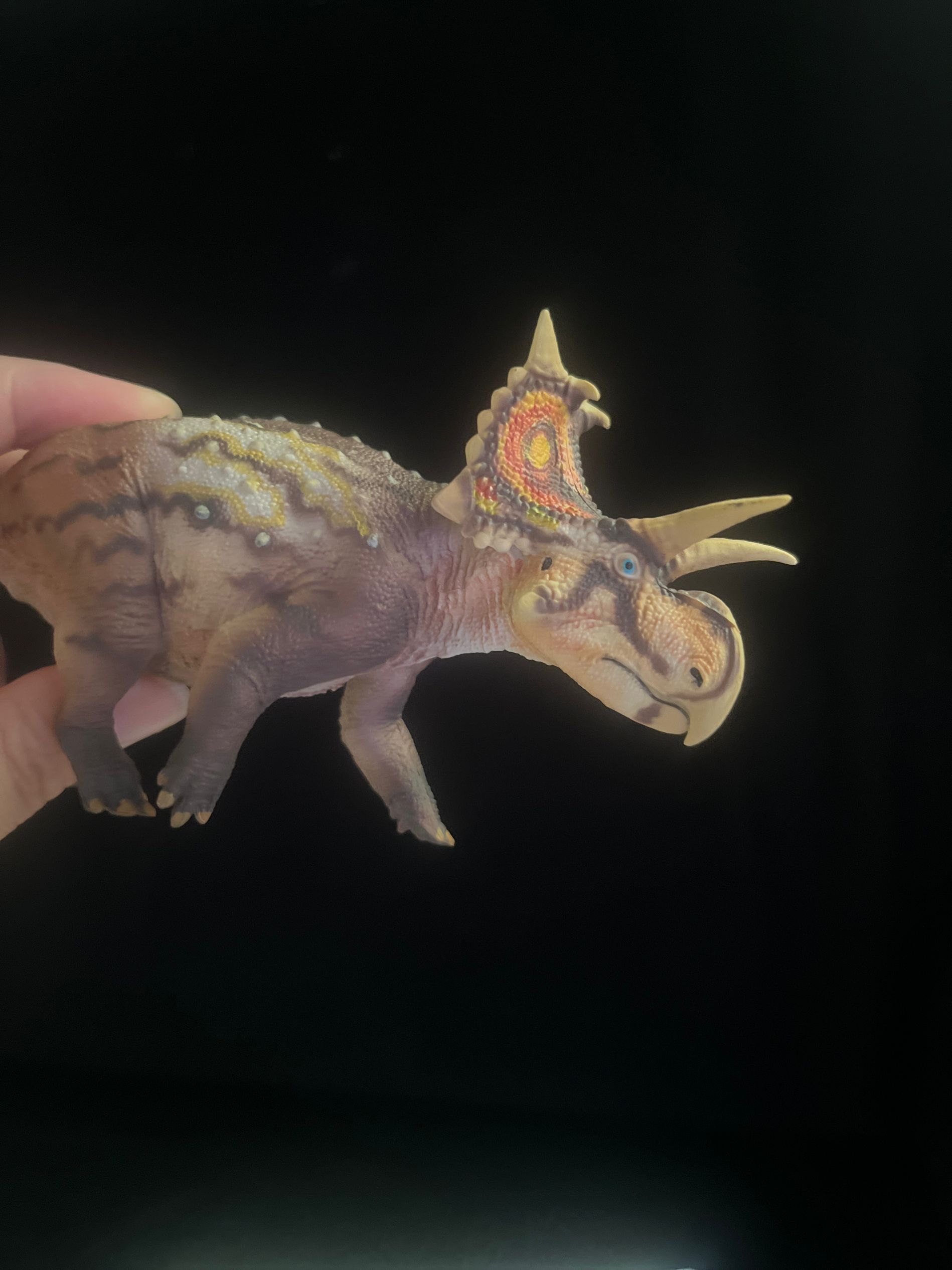 確認専用URL 確認専用URL