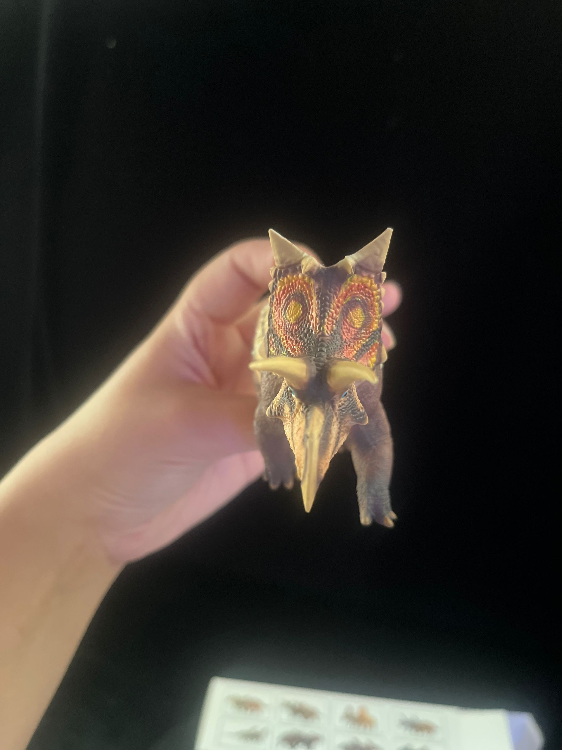 確認専用URL 確認専用URL