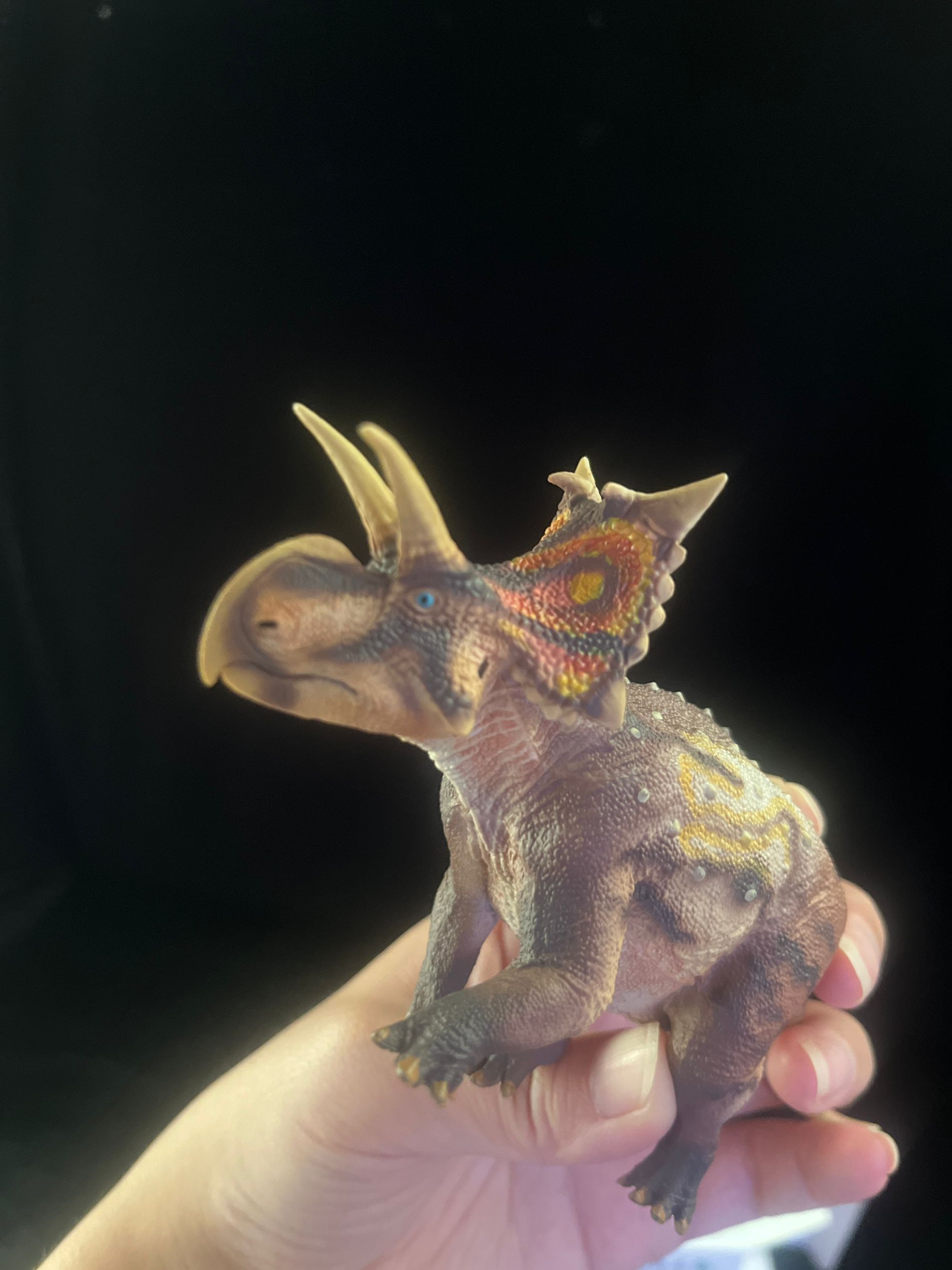 確認専用URL 確認専用URL