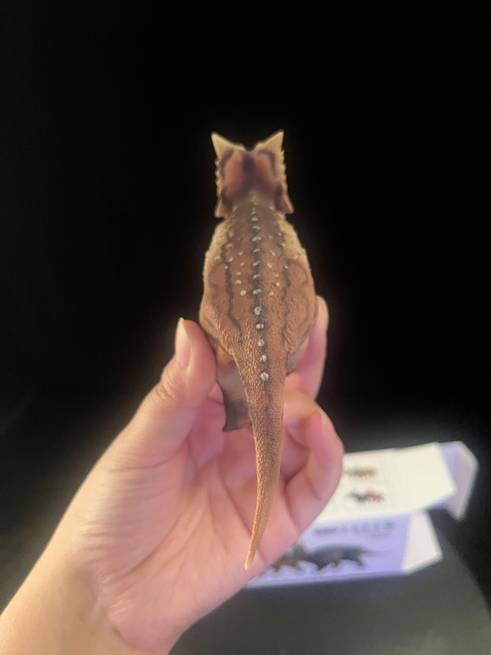 確認専用URL 確認専用URL