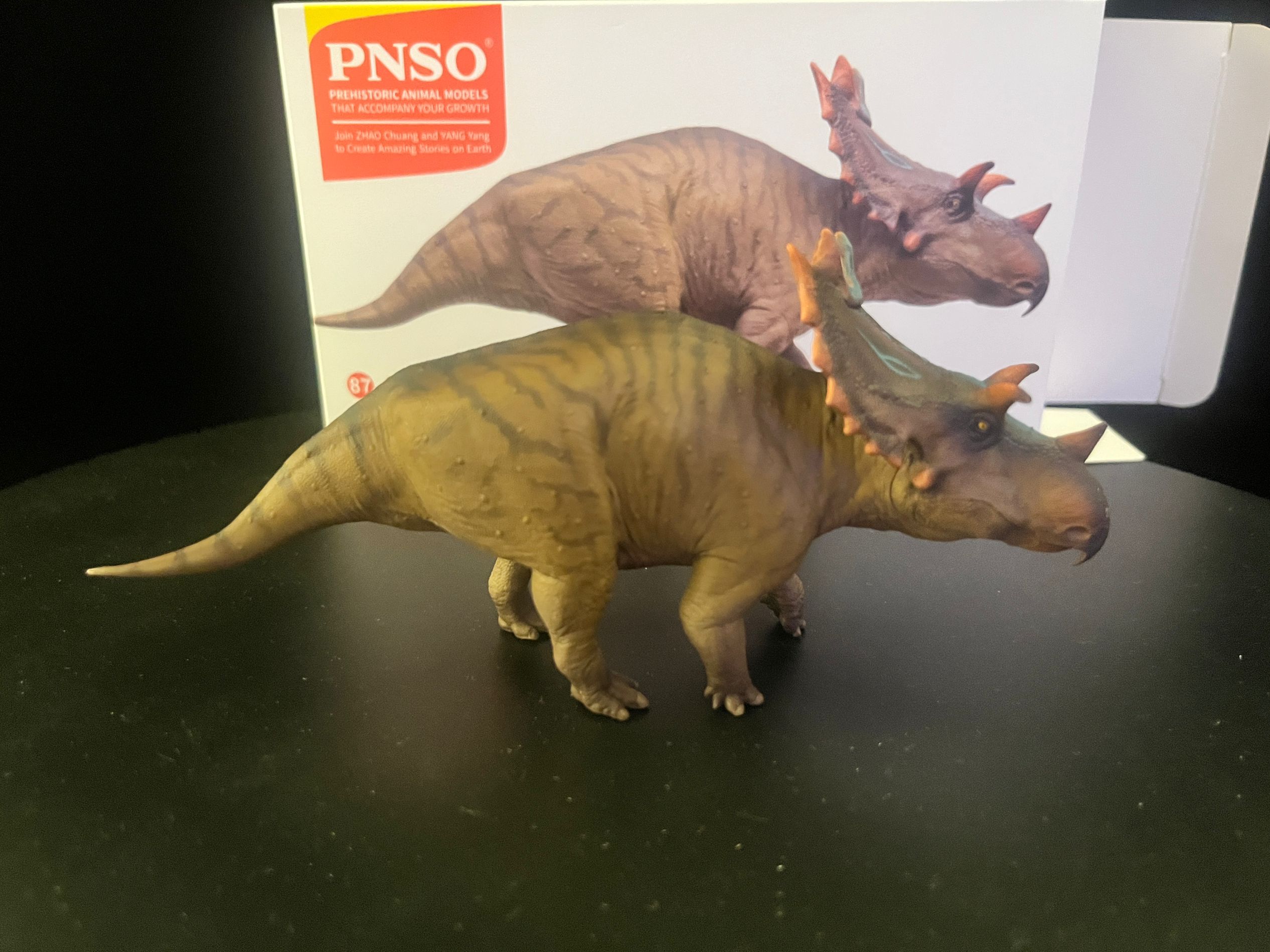 確認専用URL 確認専用URL