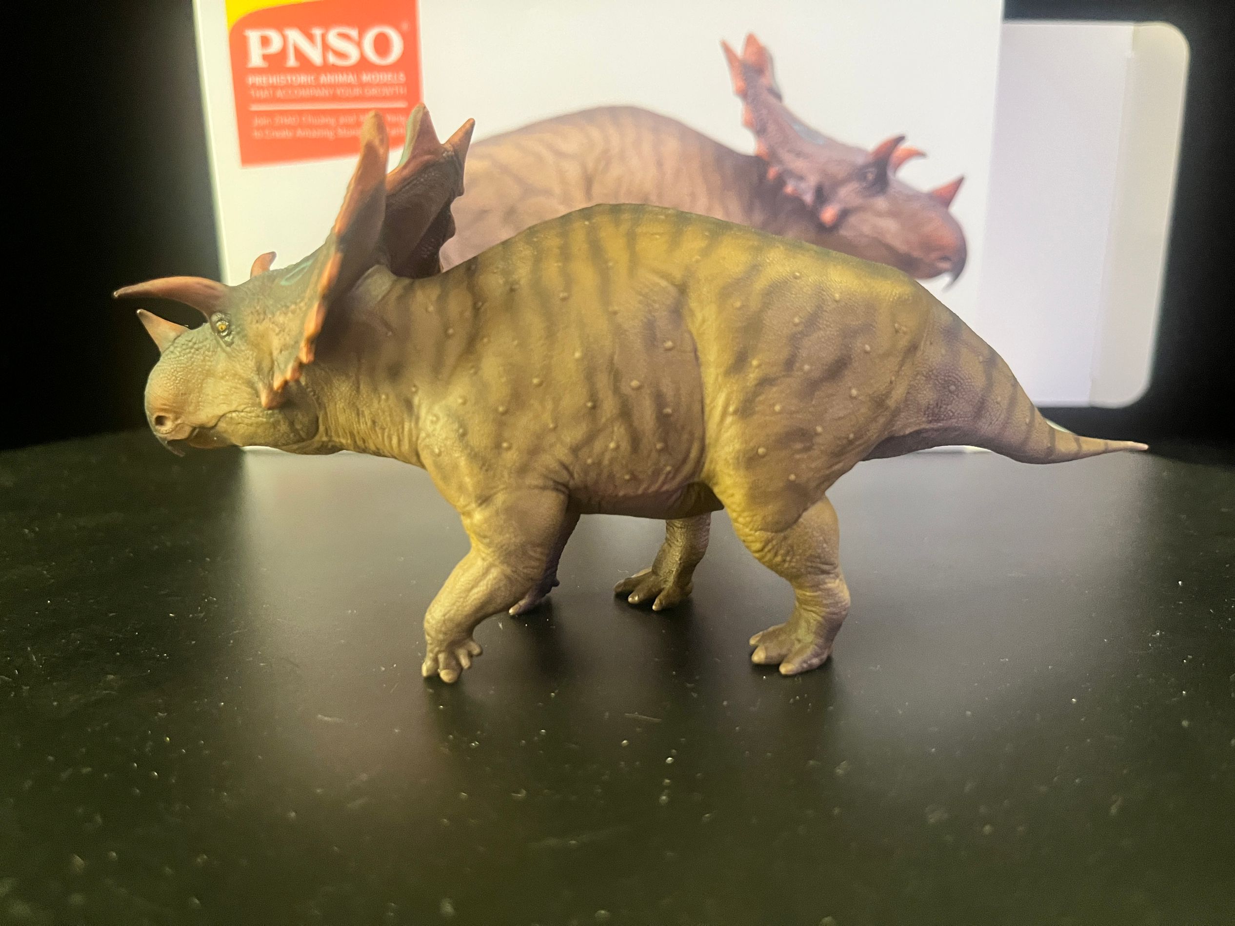 確認専用URL 確認専用URL