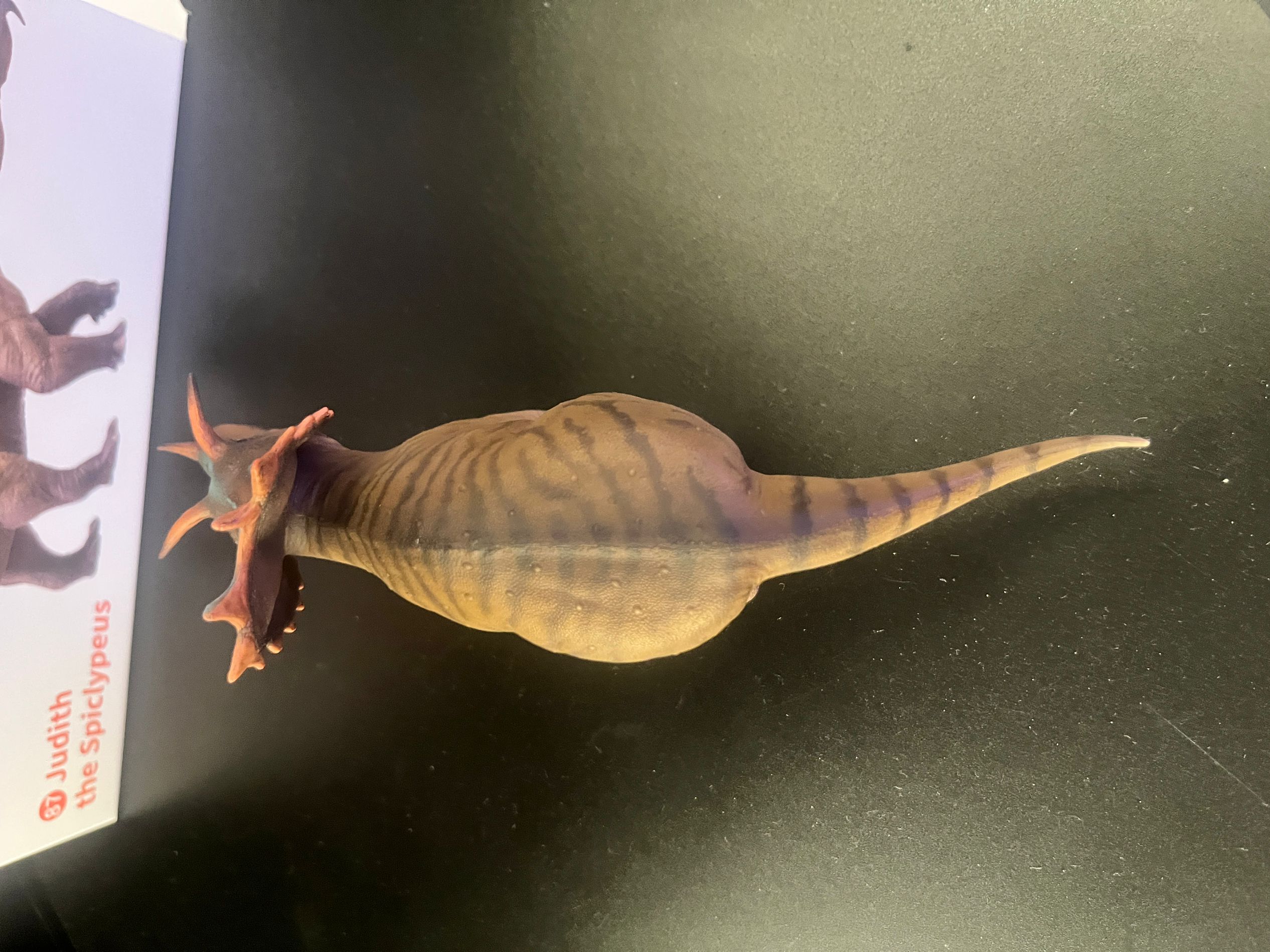 確認専用URL 確認専用URL